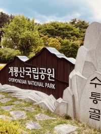 Bingyesan: A Spring Picnic with Scenic Views 