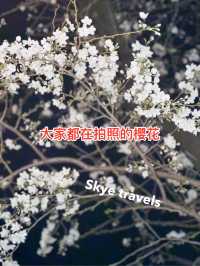 東京中目黑：櫻花樹下的夢幻之夜與繽紛白日