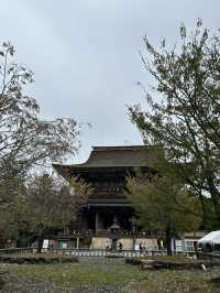 【奈良】世界遺産・吉野へ