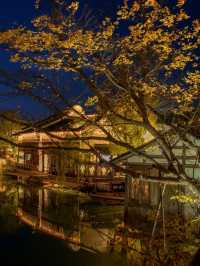 Puyuan Fashion Ancient Town Nightscape– Where Heritage Meets Contemporary Glamour
