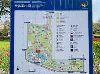 【昭和記念公園】定番の公園の桜はやはり素晴らしく感動❗️
