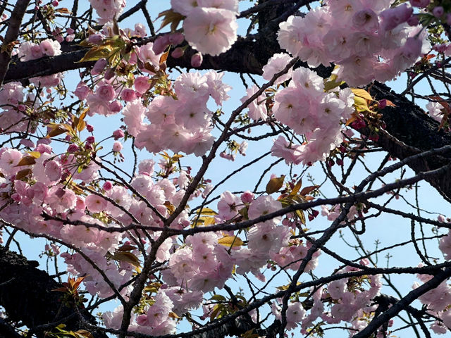 預約才進得去的～造幣局❤️