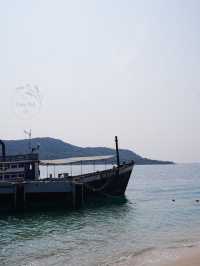 ⛱  ดำน้ำดูปลา เกาะแสมสาร
