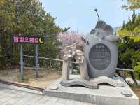 搭DANUBI列車暢遊釜山國家地質公園~太宗台，賞櫻花和玉蘭花。