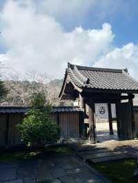 【小田原】人工物と自然が混ざりあう、不思議な空間