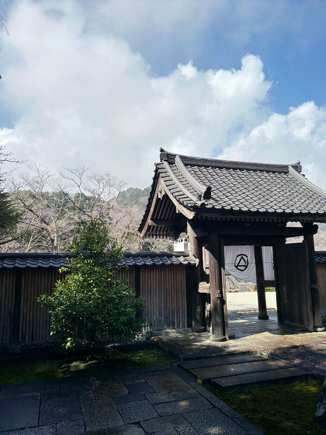 【小田原】人工物と自然が混ざりあう、不思議な空間