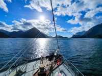 The Most Breathtaking Scenery I Found in New Zealand: Doubtful Sound🏞