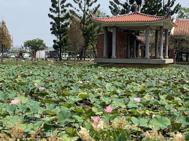 嘉義縣表演藝術中心 Chiayi Performing Arts Center