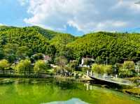 Lu Lake Bamboo Sea: A Hidden Retreat in Nature’s Embrace