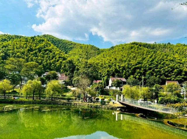 Lu Lake Bamboo Sea: A Hidden Retreat in Nature’s Embrace