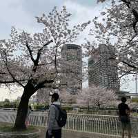 Kema Sakuranomiya Park, Osaka