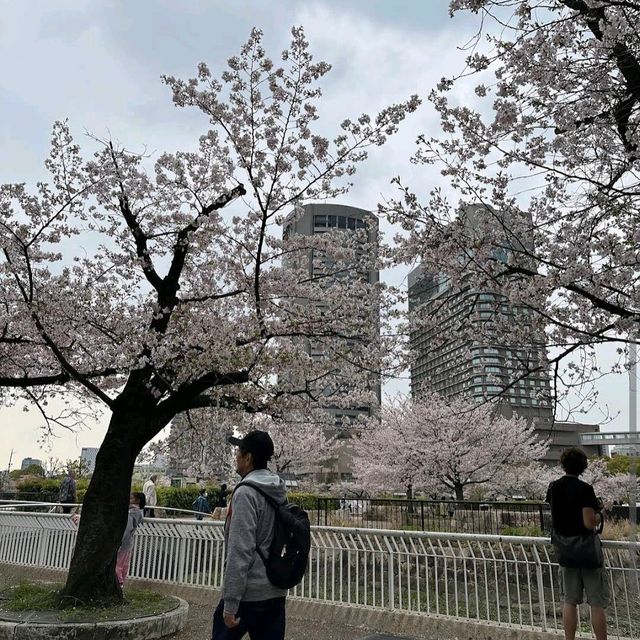 Kema Sakuranomiya Park, Osaka