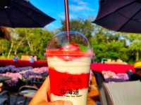Hokkaido Flower Park Khaoyai