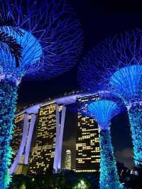 The Ultimate Nanny-Level Singapore Guide!