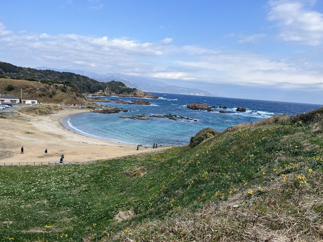 まるで南国リゾート！伊豆半島・下田の海で青に包まれる最高のひとときを♪