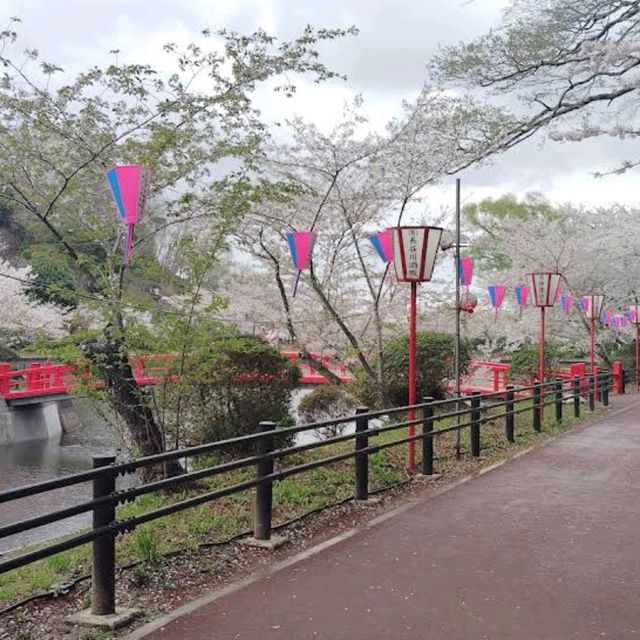 Mobara Park, Chiba