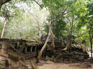 A Mysterious temple, beng mealea temple