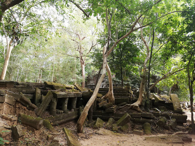 A Mysterious temple, beng mealea temple