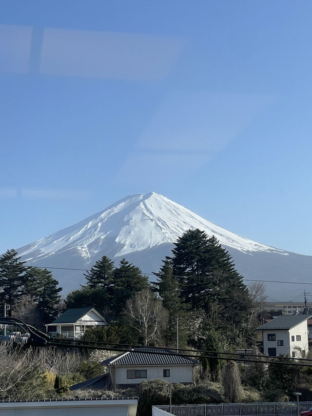 Onsen ookie
