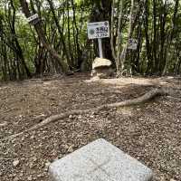 🌲【木梶山】⛰️ まつさかイレブン