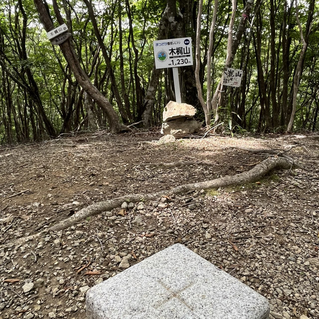 🌲【木梶山】⛰️ まつさかイレブン