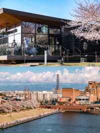 หนึ่งใน Starbucks ที่วิวสวยที่สุดเมืองโทยาม่า🌸🎌