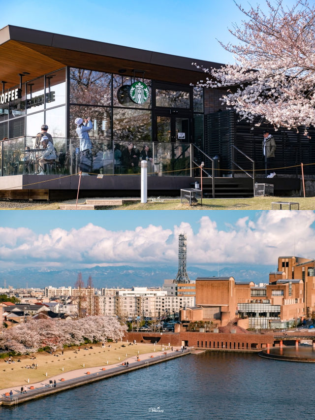 หนึ่งใน Starbucks ที่วิวสวยที่สุดเมืองโทยาม่า🌸🎌