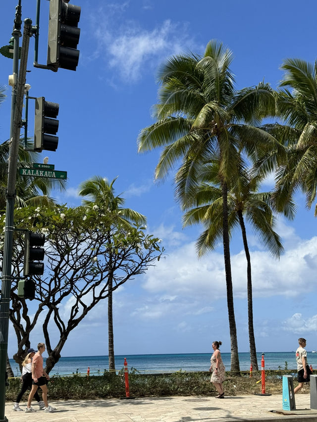 🏝️ 하와이 바다별 특징 및 비교, 나에게 맞는 해변 찾기! 