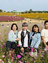 Picturesque Agricultural Theme Park