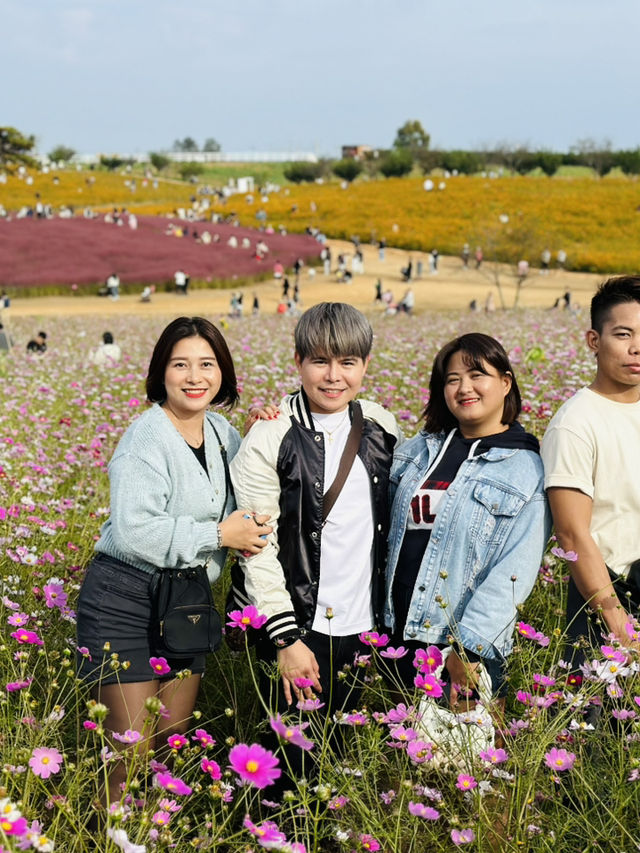 Picturesque Agricultural Theme Park