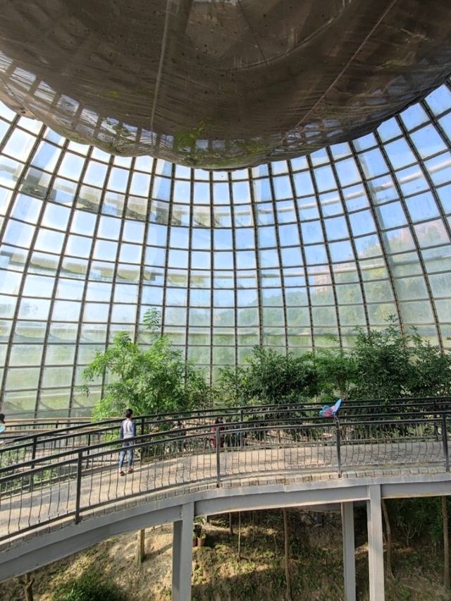 臺版濱灣花園#嘉大植物園-嘉義市東區