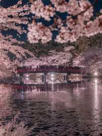 Petal Panorama: Hirosaki’s Castle in Bloom