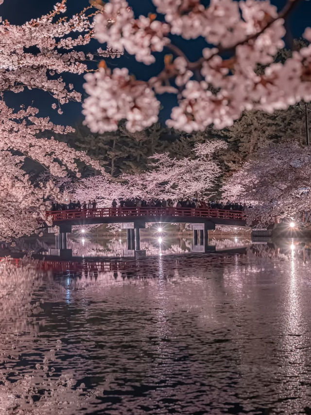 Petal Panorama: Hirosaki’s Castle in Bloom