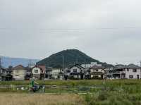 【大和三山と藤原京】⛰️ 世界遺産候補🌎