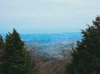 【関東日帰りハイキング】📍大山(神奈川・伊勢原)