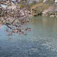 Suzaka Garyu Park, Nagano