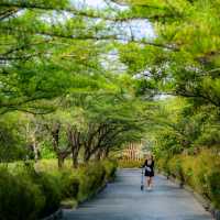 ที่พักบรรยากาศวิวแม่น้ำ อยุธยา