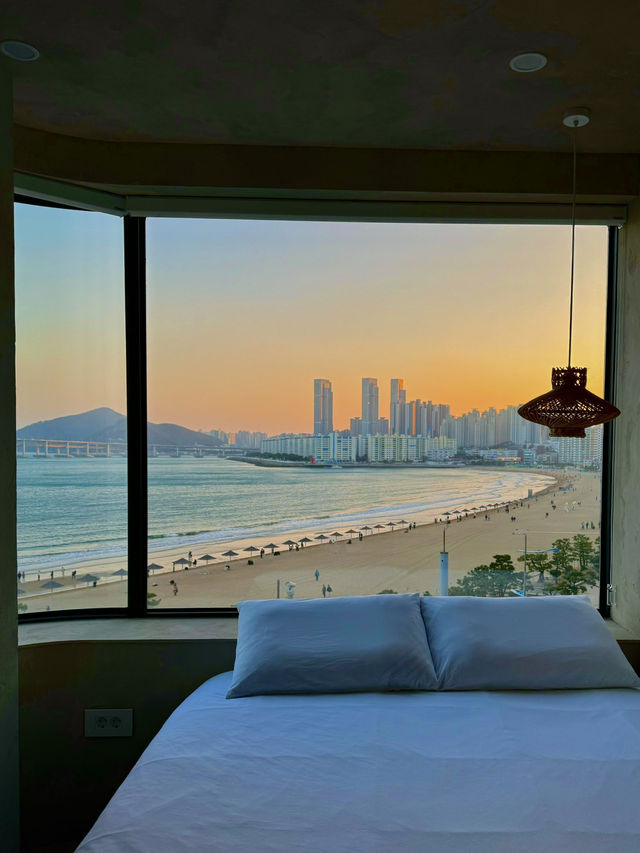 여기가 바로 지상낙원? ✨🌙