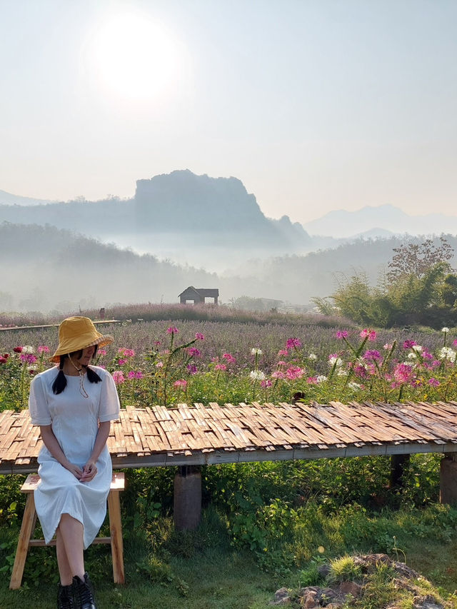 ไร่ภูผาหมวก “สวยดุจภาพวาด”🏞️