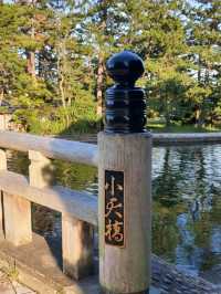 海之京都奇景〔小天橋〕的靈動轉身。