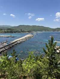🚡삼척의 아름다운 항구 바다 장호항의 전경을 볼 수 있는 🏝️ 삼척 어트랙션 여행코스