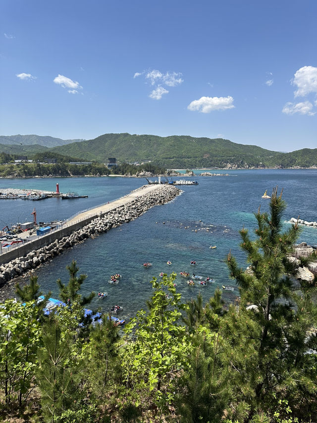 🚡삼척의 아름다운 항구 바다 장호항의 전경을 볼 수 있는 🏝️ 삼척 어트랙션 여행코스