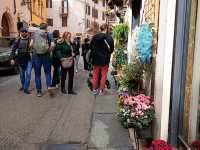 Verona is very beautiful 