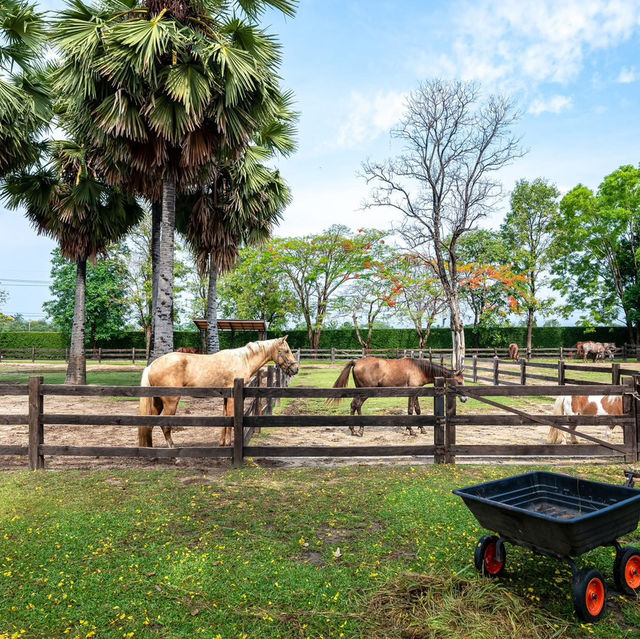 Rancho Charnvee Resort Khaoyai & CountryClub 