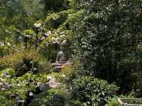 Rock Garden Feels at Ryoanji