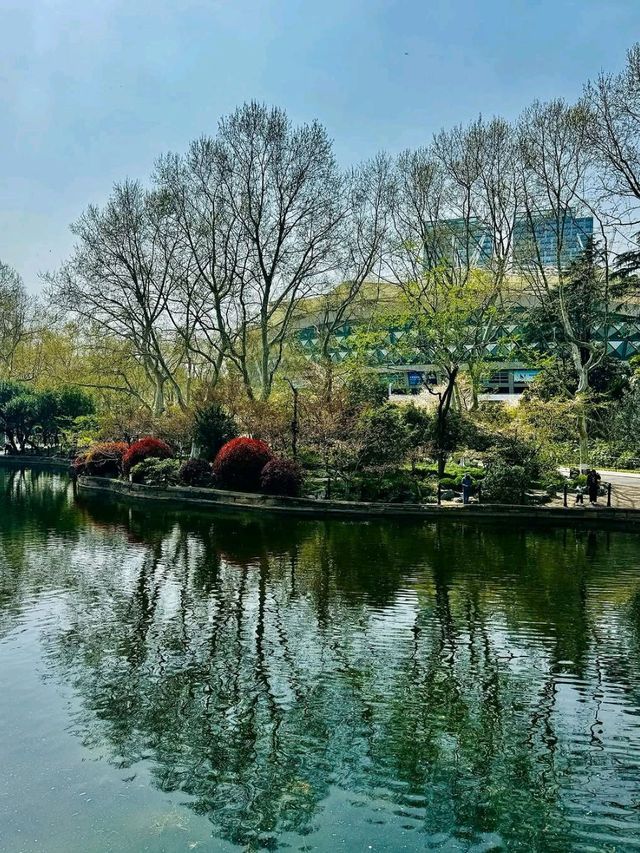 Local Life in Shanghai