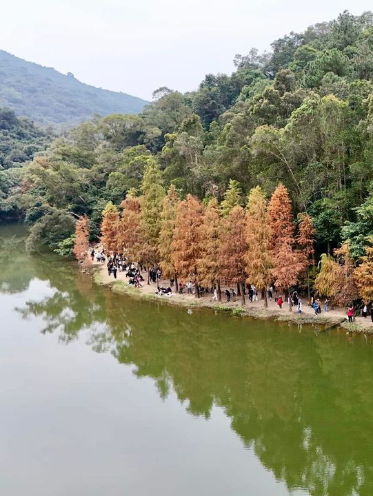🗺️** 流水響：感受大自然的寧靜與美好**🗺️