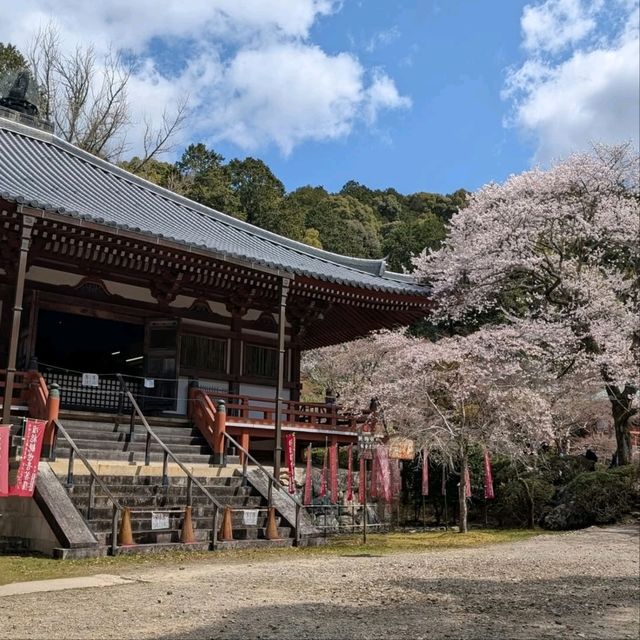 Temple that Big, Chill, and Super Scenic