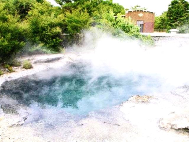 #市政花園-紐西蘭羅託盧瓦