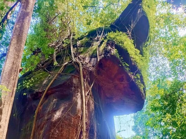 อุทยานแห่งชาติภูลังกา (ถ้ำนาคี)